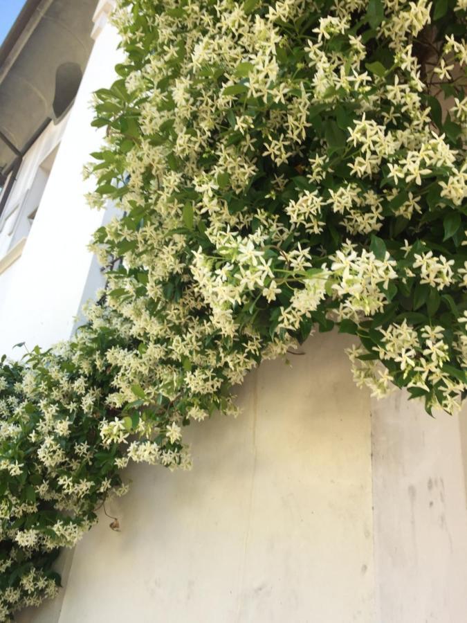 Villa Maldestra ริมินี ภายนอก รูปภาพ